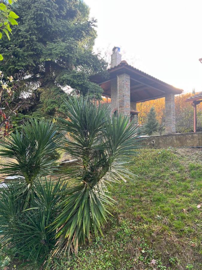 Apartament House In The Woods Kardítsa Zewnętrze zdjęcie